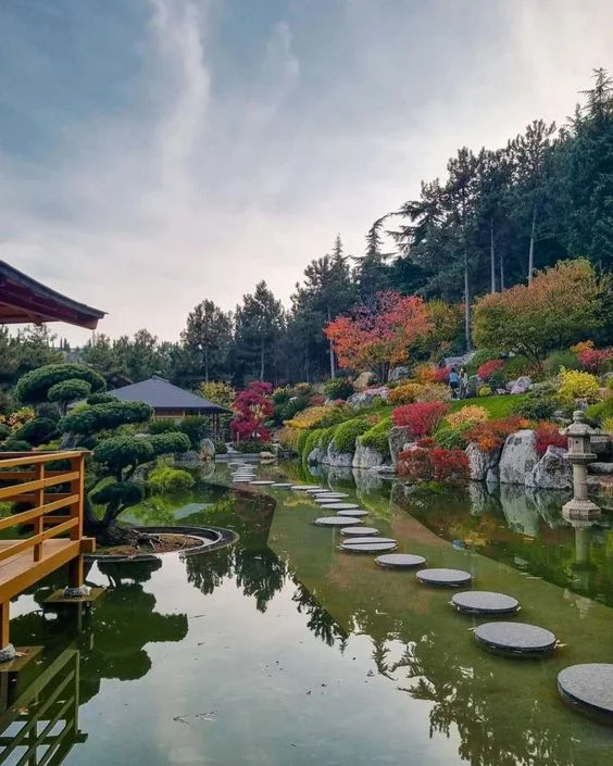 عرض موسكو 7 ايام